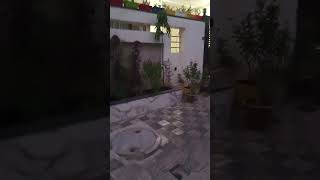 1st time plants pr fruiting hote hue garden love my new home garden [upl. by Anama]