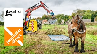 Ecologisch bosbeheer maaigoed slepen met trekpaarden uit natte hooiweiden vol rabatten in Brugge [upl. by Osanna]