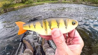 Glide Bait Fishing For River Pike [upl. by Powel]