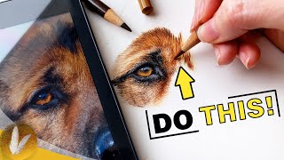 Draw Epic Realistic Fur  Colored Pencil Tips And Techniques Dog Eye Tutorial [upl. by Saihttam]