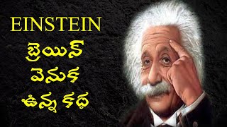 ALBERT EINSTEIN BIOGRAPHY IN TELUGU  What happened to einsteinquots brain [upl. by Sender]