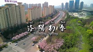 Luoyang Spring 2 [upl. by Hairym]