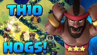 TH10 HOG RIDER MASTERCLASS  Clash of Clans 3 Star Attack Strategy 2018 War Raids in CoC [upl. by Najram855]