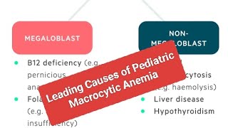 Leading Causes of Pediatric Macrocytic Anemia [upl. by Yesima]