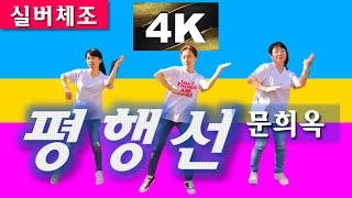 실버체조평행선노래 문희옥 4KUHD 주야간보호센터요양원 아리울교육 [upl. by Lachish138]