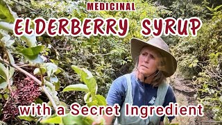 Medicinal Elderberry Syrup with a Secret Ingredient medicine elderberry youtube [upl. by Zzaj]