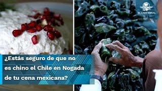 Receta del Chile en Nogada en peligro productores preservan las semillas de los ingredientes [upl. by Dowski]