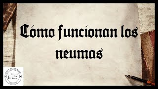 ◼¿CÓMO funcionan los NEUMAS◼🔊 [upl. by Animas]