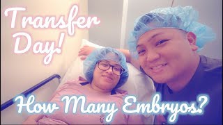 EMBRYO TRANSFER DAY How Many Embryos  IVF JOURNEY ROUND 2 [upl. by Alcinia]