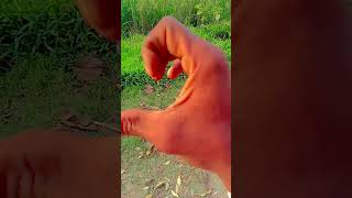 सच कहूं तेरे नाम से दिल धड़कता है मेरा अभीशॉर्ट viralvideo viralvideo [upl. by Thirzia588]