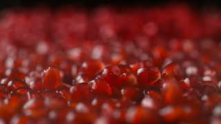 pomegranate seeds slow motion 2022 03 25 01 03 24 utc [upl. by Sundstrom408]