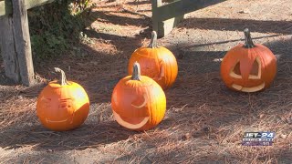 Penn State Extension’s Pumpkin Walk returns to Waldameer Park this weekend [upl. by Trilley]