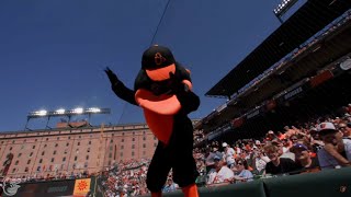 ORIOLES THROUGH THE YEARS [upl. by Dilan]