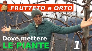 Design del tuo orto posizionamento ottimale delle piante [upl. by Zampardi]