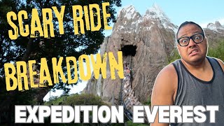 Scary Ride Breakdown Expedition Everest  Detailed Explanation of Scary Rides amp What to Expect [upl. by Nnaycnan478]