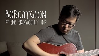 Bobcaygeon by The Tragically Hip Cover [upl. by Adnor]