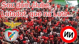 No Name Boys  Diabos Vermelhos  Sou do Benfica e isso me Envaidece [upl. by Carmena]