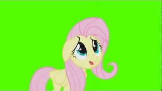 Fluttershy Backs up slowly  Green Screen Ponies [upl. by Fen158]