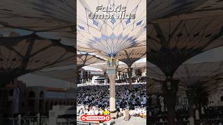 Haram Plaza Umbrellas Saudi Arabia ll Telugu Facts ll TOT FACTS [upl. by Lledyl889]