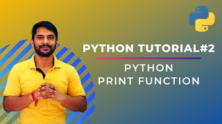 Python Print Function  In Hindi [upl. by Ragnar]