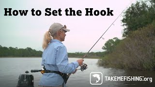 How to Set the Hook  How to Fish [upl. by Ellswerth]