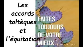 les accords toltèques et léquitation [upl. by Rosse734]