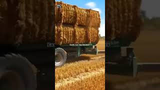 trending farming harvesting viral shorts youtubeshorts agriculture EarthAndSkyDiaries [upl. by Etteuqaj313]