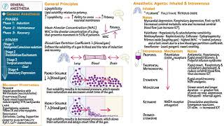 General Anesthesia [upl. by Enrika]