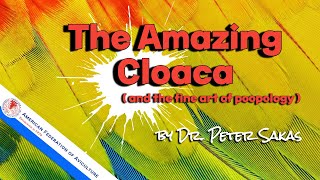 The Amazing Cloaca and the Fine Art of Poopology by DrPeter Sakas [upl. by Betthel]