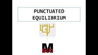 PUNCTUATED EQUILIBRIUM [upl. by Ottillia275]