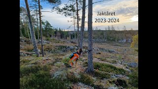 Jaktåret 2023 2024 [upl. by Honna]