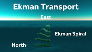 Ekman Transport [upl. by Aknaib748]