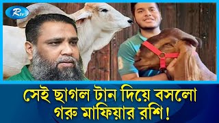 মতিউর কাণ্ডের পর এবার সেই ছাগল টেনে বসলো গরু মাফিয়ার রশি  Sadik Agro  Rtv News [upl. by Okimuy]