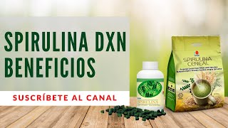 Espirulina DXN beneficios  Para que sirve la Espirulina [upl. by Eleanor805]