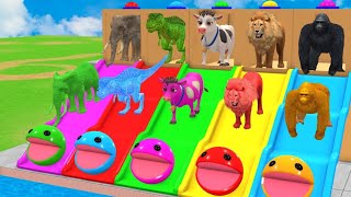 Long Slide Game With Elephant Gorilla Buffalo Hippopotamus Tiger  3d Animal Game  Funny 3d Animals [upl. by Eylatan910]