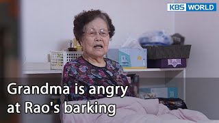 Grandma is angry at Raos barking Dogs are incredible  EP1267  KBS WORLD TV 220614 [upl. by Dave116]