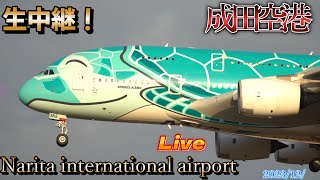 【Narita International Airport Live 】成田空港 生中継📸✈️💨】【Gibson Narita】 [upl. by Atalee]