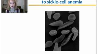 Protein Structure and Function  Part 2 [upl. by Ardekahs266]