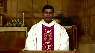 Catholic Mass Today  Daily TV Mass Saturday May 4 2024 [upl. by Marsh786]