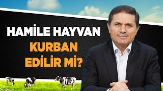 Hamile hayvan kurban edilir mi  Sorularla İslamiyet [upl. by Canica112]