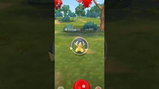 See how I Catch a Helioptile in Pokemon go pokemon pokemongo [upl. by Mars]