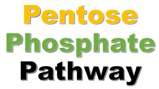 Biochemistry  Pentose Phosphate Pathway  Nonoxidative Phase  PART 2 [upl. by Blackburn]