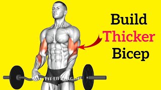 12 Most Effective BRACHIALIS EXERCISES for Thicker amp Stronger Arms [upl. by Aizirtap]