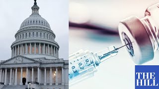 AntiVaccine doctor testifies before the Senate  FULL HEARING [upl. by Harman508]