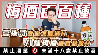 梅酒開箱｜梅酒百百種壹柒哥教你怎麼選八種梅酒垂直品飲 [upl. by Bolling]