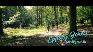 Epping Forest  Short Family Walk in the woods [upl. by Deutsch]