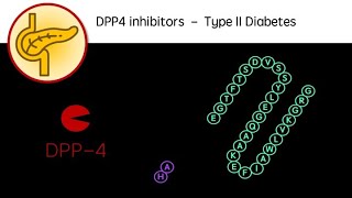 DPP4 Inhibitors  Type 2 Diabetes revision video GCSE A Level University Sitagliptin Saxagliptin [upl. by Afatsuom756]