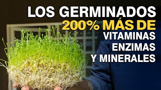 Los Germinados  Hasta 200  mas de vitaminas enzimas aminoácidos y minerales [upl. by Harat]