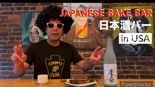 Japanese sake and otsumami at sake bar in US [upl. by Ttergram]