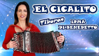 EL CICALITO Tiburon IRMA DI BENEDETTO  Organetto Abruzzese Accordion [upl. by Anattar]